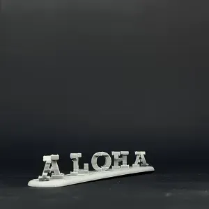 The Plate Flips - Aloha x 3D printing
