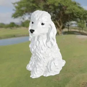 Dog Poodle Caniche