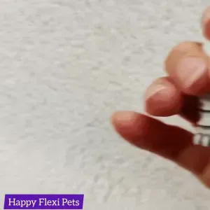 Skeleton Cat Articulated Toy