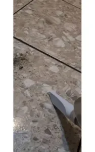 Vacuum Nozzle