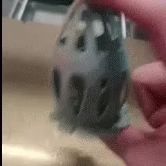 Pop-Out Egg-in-Egg