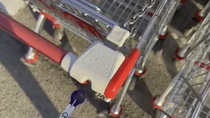 Shopping Cart Coin - Removable - Keychain