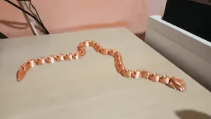 Flexi Snake