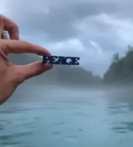 Text Flip - Peace
