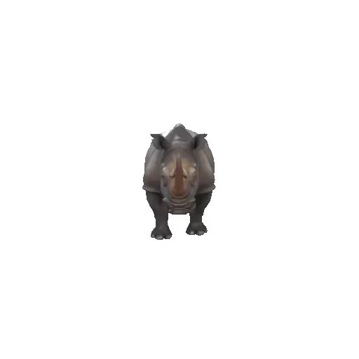 Rhinoceros — Фото 2 из 3