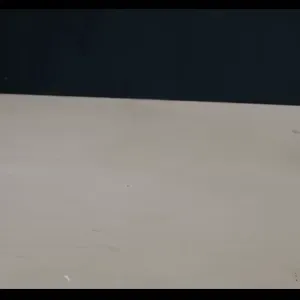 Flexi Ferret