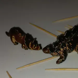 TricerHolder the dino that holds toothpicks