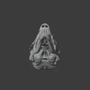 Common Mole Skull
