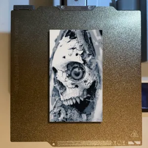 Sighted Skull Hueforge