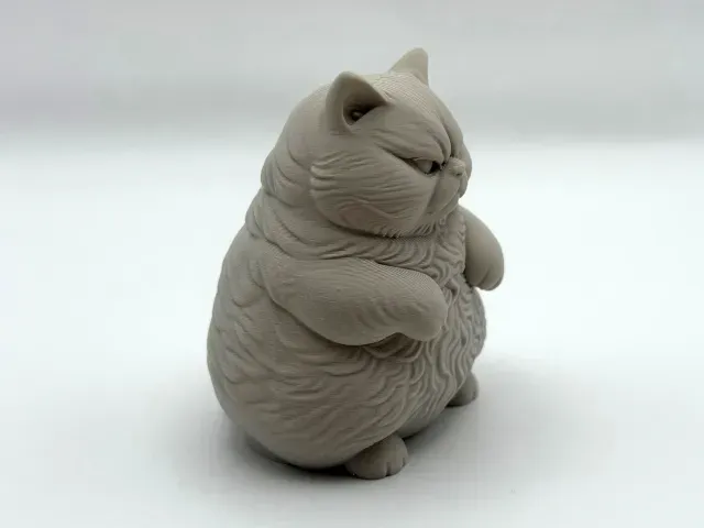Chonky Furball — Фото 4 из 5