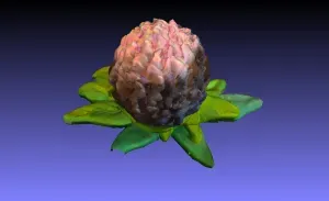 Plasticine flower. 3d scanning with Cr-scan Ferret.