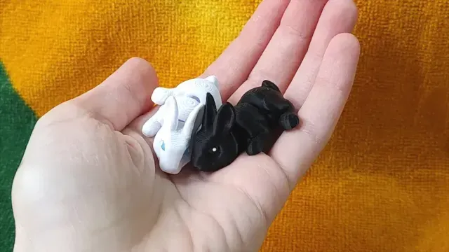 Micro Rabbit — Image 9 of 9