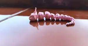 Flexi Onix