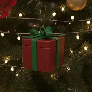Gift Box Christmas
