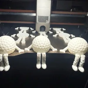 Golf ball buddy