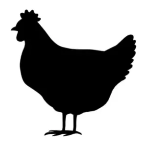 logo ganado aves de corral. gallinas