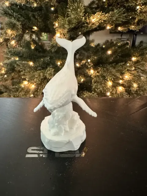 Humpback Whale — Фото 2 из 6