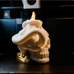 The Tentacle Skull Lamp