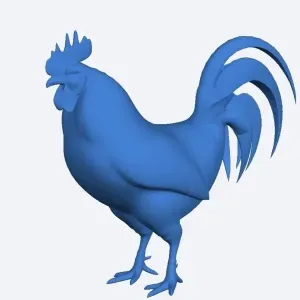 Rooster