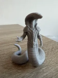 Naga