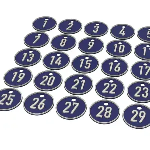 Numbered keychains predefined from 1 to 300 and empty tag