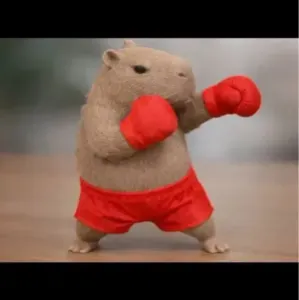 Боксёр Капибара