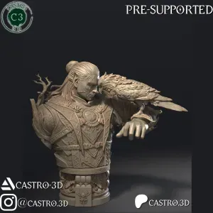 Halsin - BG3 Bust Collection 3D print model