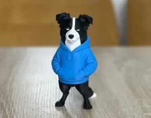 Cool Swag Border Collie
