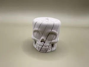TWISTY SKULL