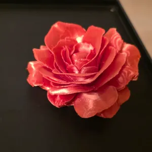 Abracadabra Rose