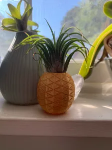 Pineapple Air Plant Holder
