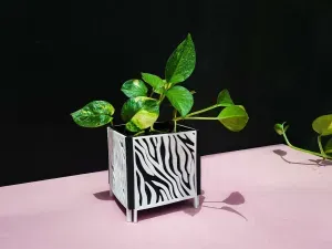 Planter With Pattern | Pot