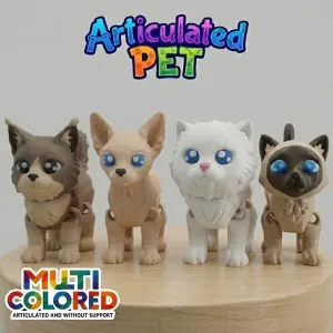 Cats Articulated Multicolor