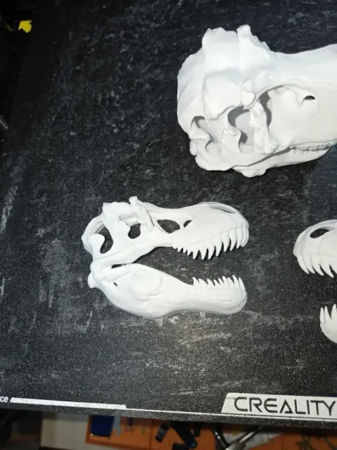 Jurassic Park Dinosaur Skulls Full and Halves Movie Decor — Image 6 of 9