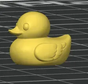 World's Smallest Duck — Image 2 of 3