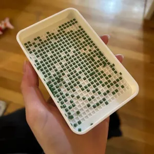 Single Placer Diamond Painting Tray By:@EmilyE_1611017