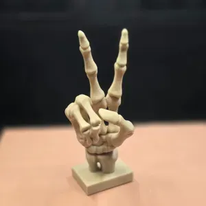 Peace Skeleton Hand