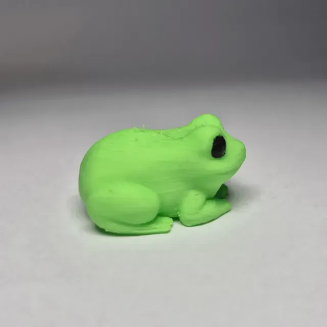 Mini Magnet Frogs! — Фото 7 из 9