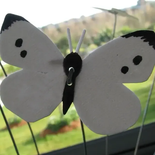 Cabbage moth decoy