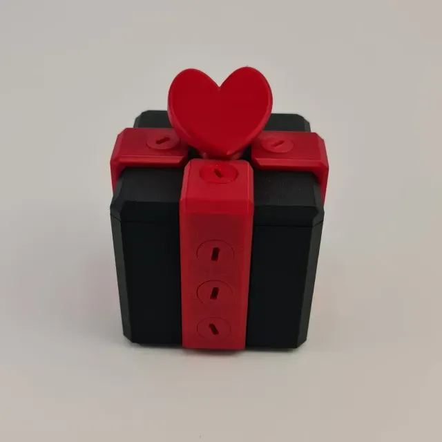 Gift Box With Hearth Locked with 16 Screws — Фото 2 из 9