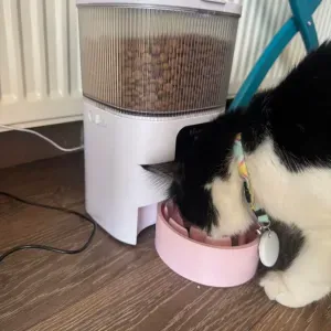 Automatic Pet Feeder Slow Bowl for cats and dogs
