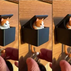 Cat Holder Key