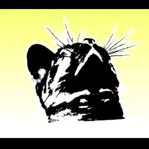 Cat Close Up Meme.WALL ART
