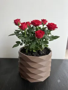 Flower Pot