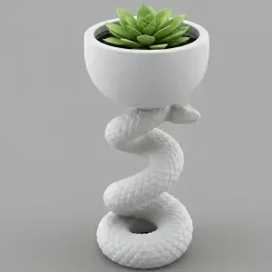 Snake Plant Pot Design