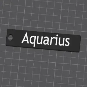 Zodiac Keychain Aquarius