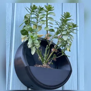 Wall-Mounted Planter / Plant Pot - Outdoors or Indoors