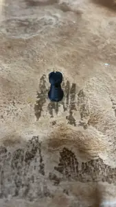 Chess rook