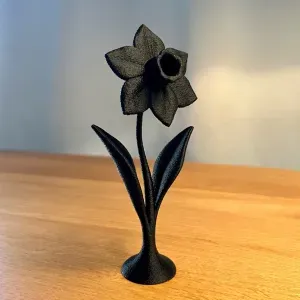 Narcissus Flower Decor
