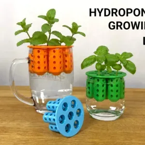 Plant Growing Model